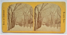 early-stereoscope-stereoview-of boston-common