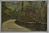 bradford-new-hampshire-1912-woodland-drive-colorized-postcard
