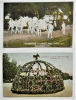 pasadena-california-two-1900s=rose-parade-float-postcards