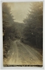 withingham-vermont-unused-real-picture-postcard-of-road-through-the-pines